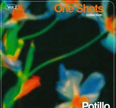 Potillo One Shot Collection Vol.2 WAV