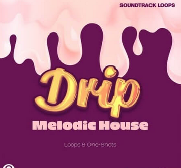 Soundtrack Loops Drip Melodic House WAV