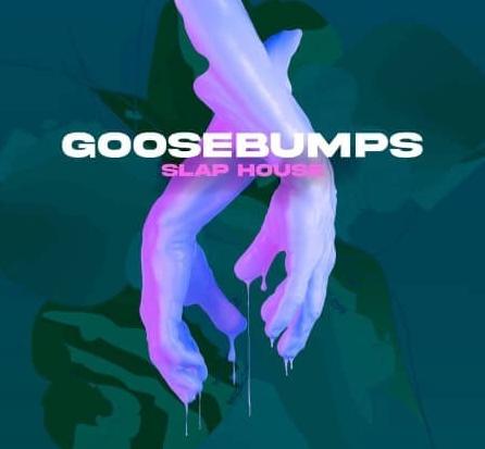 Production Master Goosebumps Slap House WAV Synth Presets