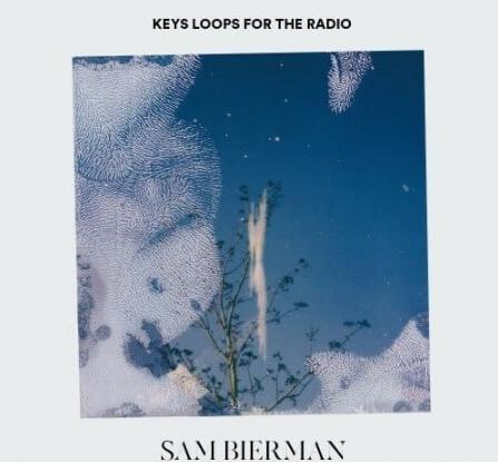 Sam Bierman Keys Loops For The Radio WAV