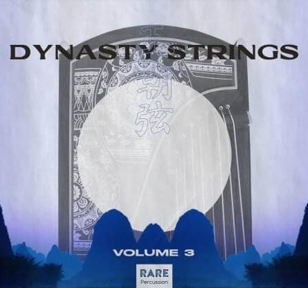 RARE Percussion Dynasty Strings Vol.3 WAV