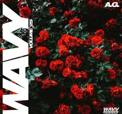 A.G. Wavy Volume 25 WAV