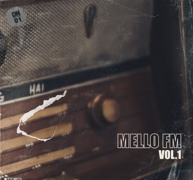 Dusty Notes Music Library Mello FM Vol.1 (Compositions and Stems) WAV