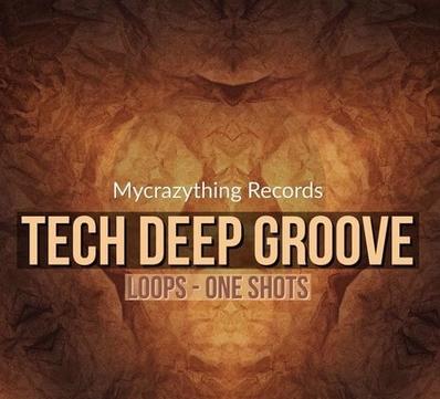 Mantain Replay Records Tech Deep Groove WAV