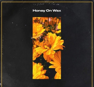 Capsun ProAudio Honey On Wax WAV