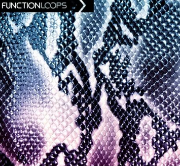 Function Loops Anaconda Trap and Hiphop WAV