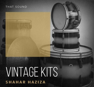 That Sound Vintage Kits WAV