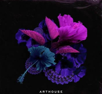 Arthouse Acoustics GloFi: RnB and Hip Hop WAV