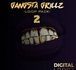 Big Citi Loops Gangsta Grillz 2 Kit Version WAV