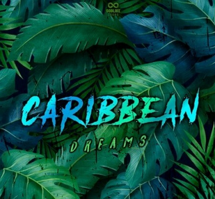 Oneway Audio Caribean Dreams Vol.2 WAV