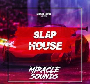 Miracle Sounds Slap House WAV MiDi Synth Presets