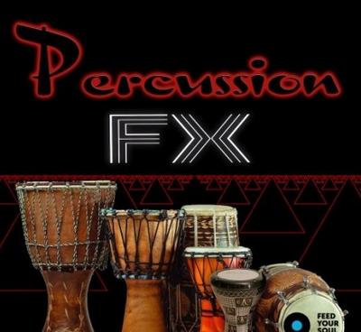 Feed Your Soul Music Percussion Fx WAV