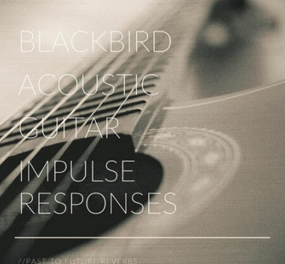 PastToFutureReverbs Blackbird Acoustic Guitar