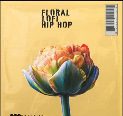 Audentity Records Floral Lofi Hip Hop WAV