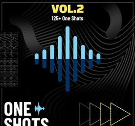 Veguzzi On The Beat One Shots Vol.2 WAV