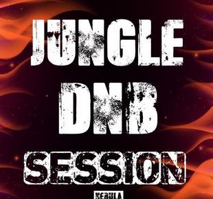 Nebula Samples Jungle Dnb Session WAV