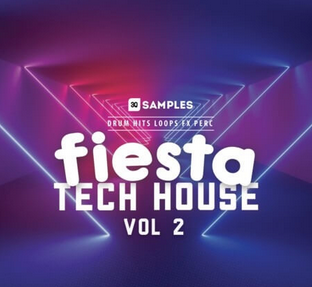 3q Samples Fiesta Tech House 2 WAV